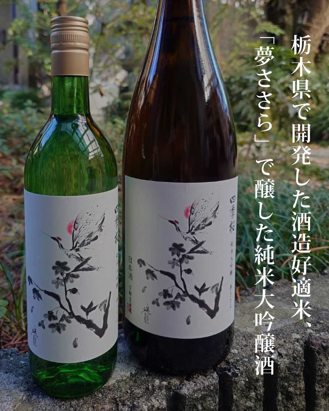 四季桜 純米大吟醸 夢ささら